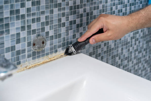 Best Emergency Mold Remediation in Ruckersville, VA