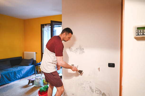 Best Residential Mold Remediation in Ruckersville, VA